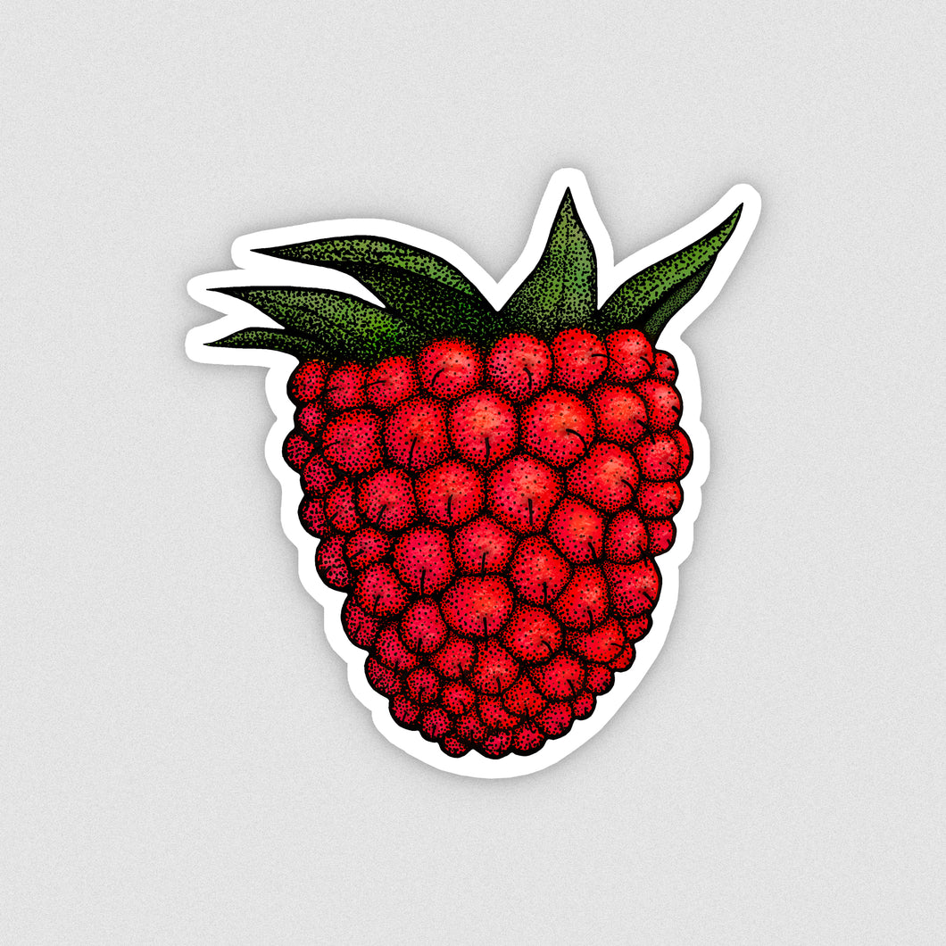 Salmonberry Sticker