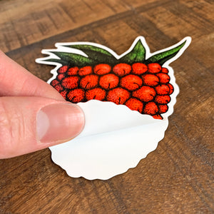 red salmonberry macbook sticker being peeled