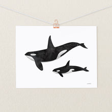 Load image into Gallery viewer, Baby Orca Print