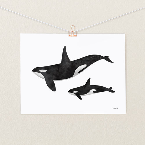 Baby Orca Print