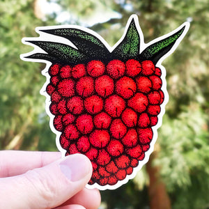 Salmonberry Sticker